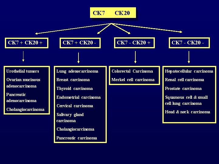 CK 7 + CK 20 + CK 7 + CK 20 - CK 20