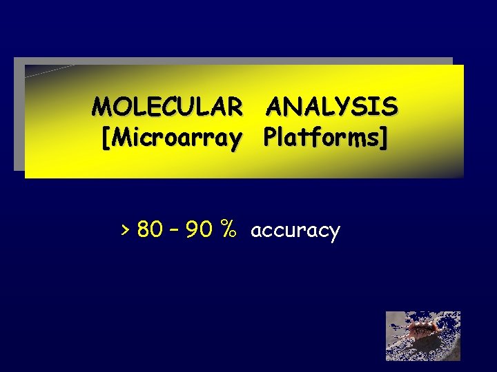 MOLECULAR [Microarray ANALYSIS Platforms] > 80 – 90 % accuracy 
