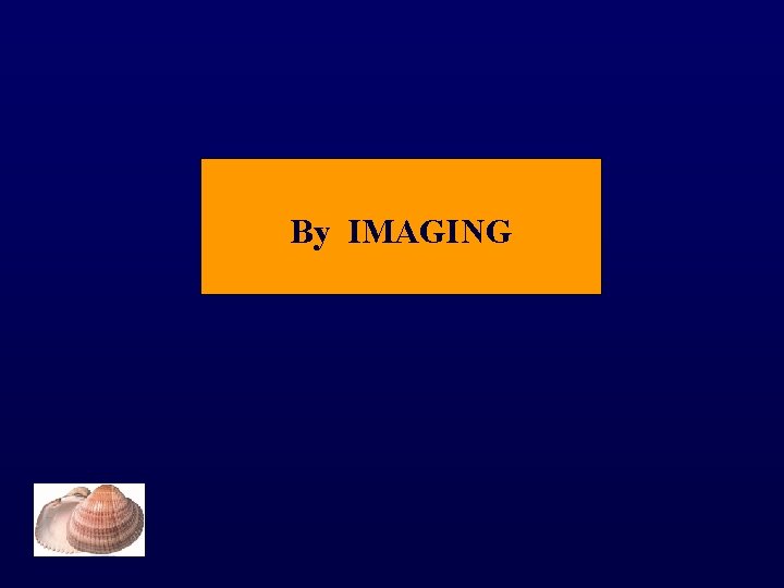 By IMAGING 