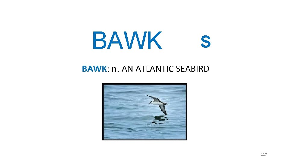 BAWK S BAWK: n. AN ATLANTIC SEABIRD 117 BAWK S BAWK: n. AN ATLANTIC SEABIRD 117