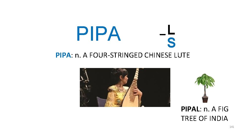 PIPA _L S PIPA: n. A FOUR-STRINGED CHINESE LUTE PIPAL: n. A FIG TREE PIPA _L S PIPA: n. A FOUR-STRINGED CHINESE LUTE PIPAL: n. A FIG TREE