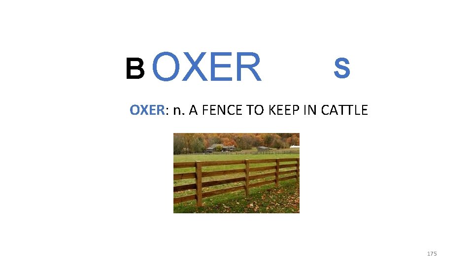 B OXER S OXER: n. A FENCE TO KEEP IN CATTLE 175 B OXER S OXER: n. A FENCE TO KEEP IN CATTLE 175
