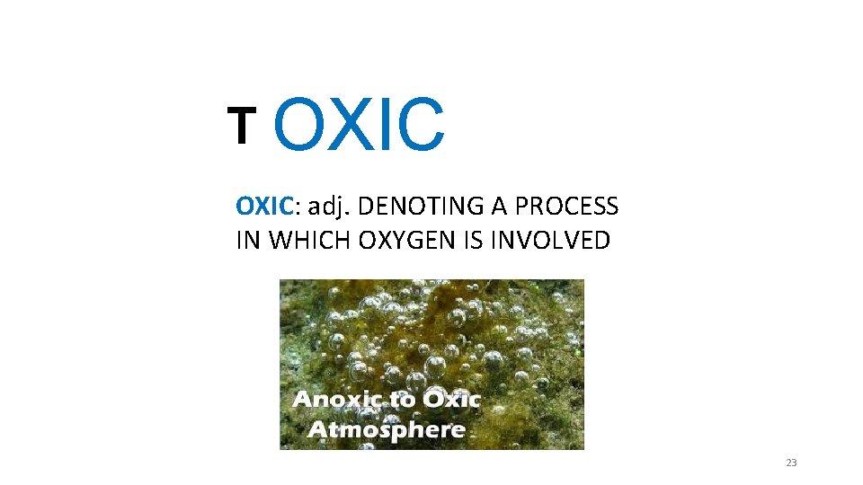 T OXIC: adj. DENOTING A PROCESS IN WHICH OXYGEN IS INVOLVED 23 T OXIC: adj. DENOTING A PROCESS IN WHICH OXYGEN IS INVOLVED 23