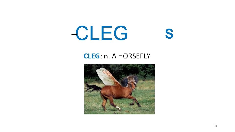 _ CLEG S CLEG: n. A HORSEFLY 33 _ CLEG S CLEG: n. A HORSEFLY 33