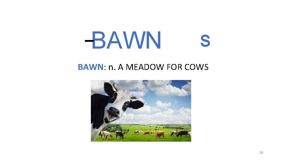 _ BAWN S BAWN: n. A MEADOW FOR COWS 35 _ BAWN S BAWN: n. A MEADOW FOR COWS 35