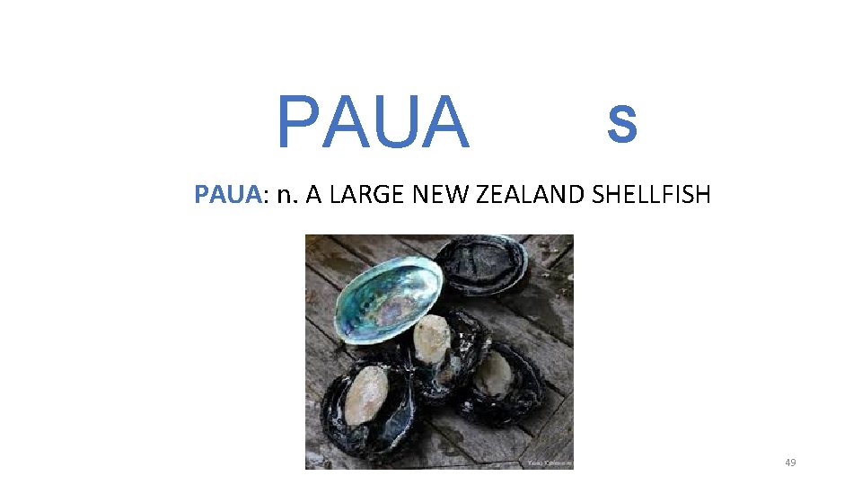 PAUA S PAUA: n. A LARGE NEW ZEALAND SHELLFISH 49 PAUA S PAUA: n. A LARGE NEW ZEALAND SHELLFISH 49