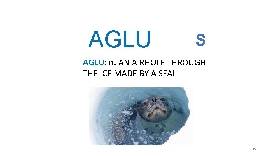 AGLU S AGLU: n. AN AIRHOLE THROUGH THE ICE MADE BY A SEAL 67 AGLU S AGLU: n. AN AIRHOLE THROUGH THE ICE MADE BY A SEAL 67