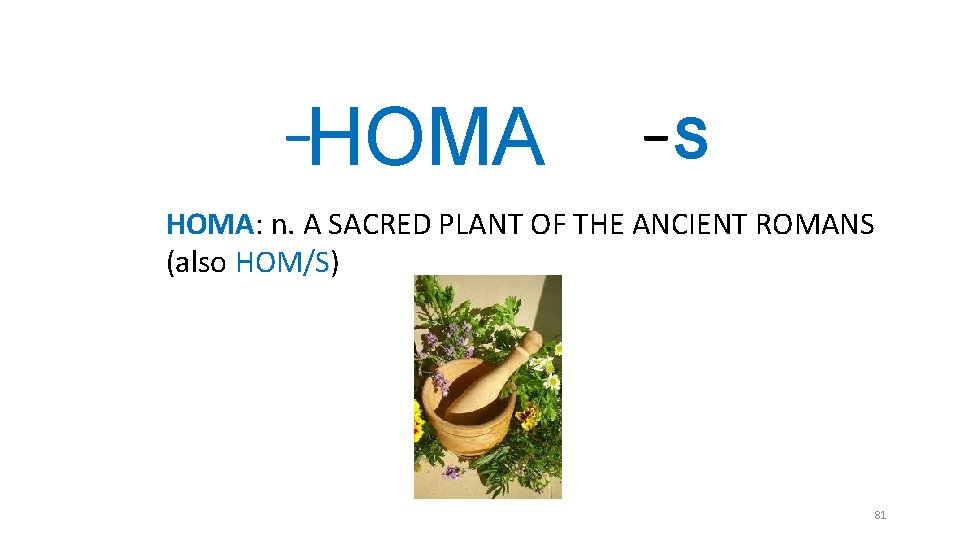 _ HOMA _ S HOMA: n. A SACRED PLANT OF THE ANCIENT ROMANS (also _ HOMA _ S HOMA: n. A SACRED PLANT OF THE ANCIENT ROMANS (also