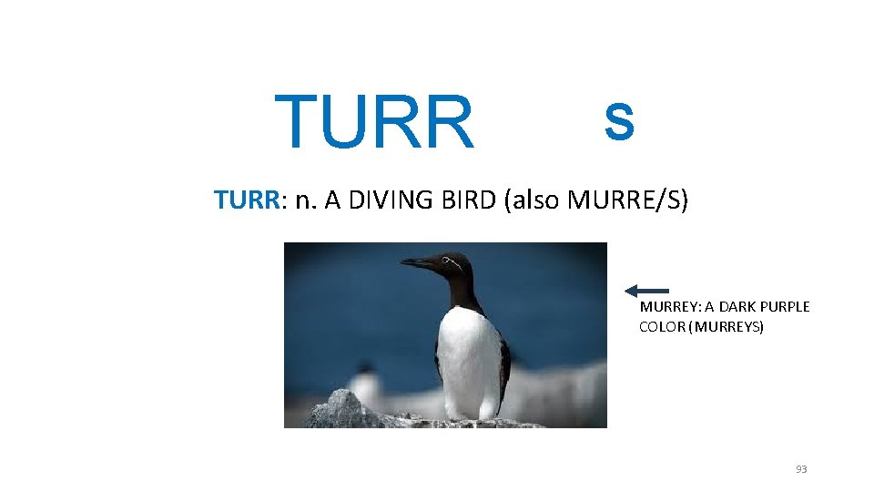 TURR S TURR: n. A DIVING BIRD (also MURRE/S) MURREY: A DARK PURPLE COLOR TURR S TURR: n. A DIVING BIRD (also MURRE/S) MURREY: A DARK PURPLE COLOR