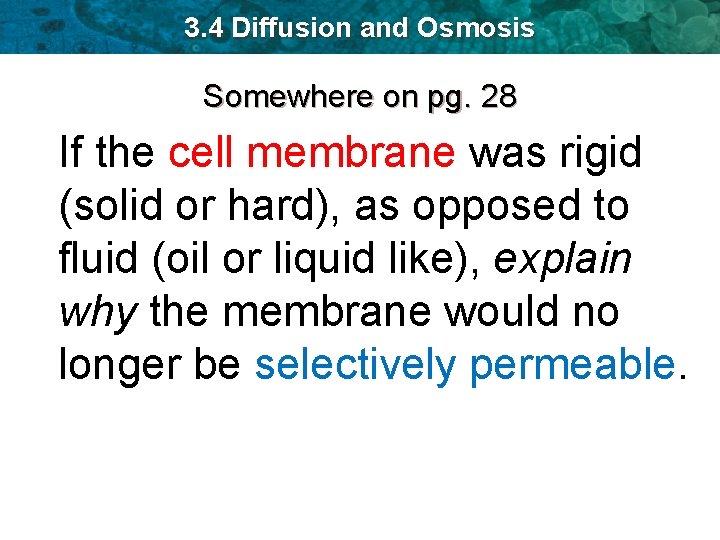 3. 4 Diffusion and Osmosis Somewhere on pg. 28 If the cell membrane was