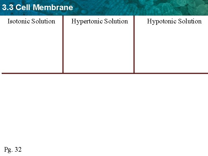 3. 3 Cell Membrane Isotonic Solution Pg. 32 Hypertonic Solution Hypotonic Solution 