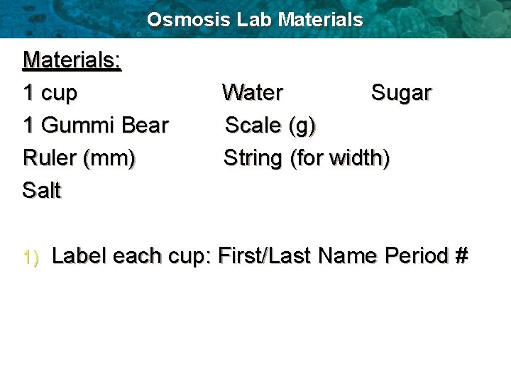 Osmosis Lab Materials: 1 cup Water Sugar 1 Gummi Bear Scale (g) Ruler (mm)