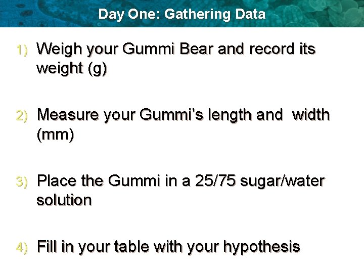 Day One: Gathering Data 1) Weigh your Gummi Bear and record its weight (g)