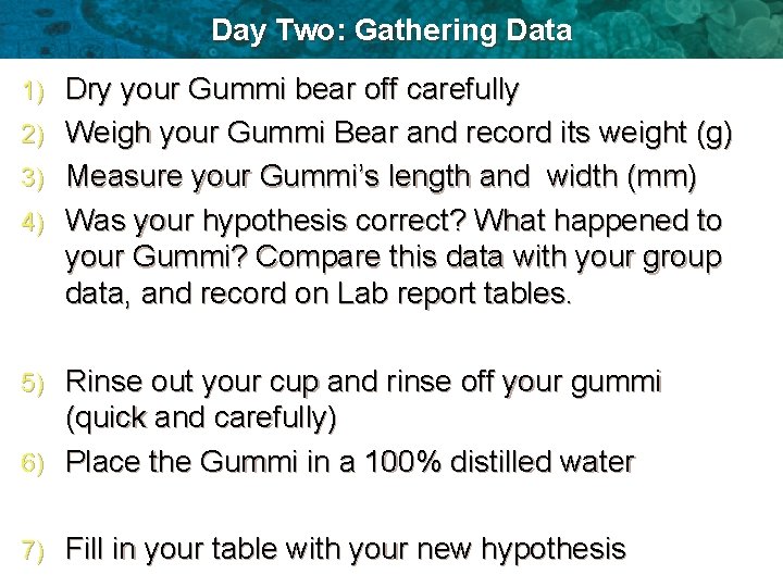 Day Two: Gathering Data 1) 2) 3) 4) Dry your Gummi bear off carefully