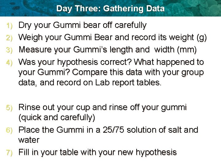 Day Three: Gathering Data 1) 2) 3) 4) Dry your Gummi bear off carefully