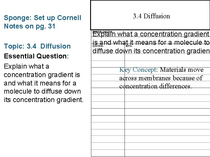 3. 3 Cell Membrane Sponge: Set up Cornell Notes on pg. 31 Topic: 3.