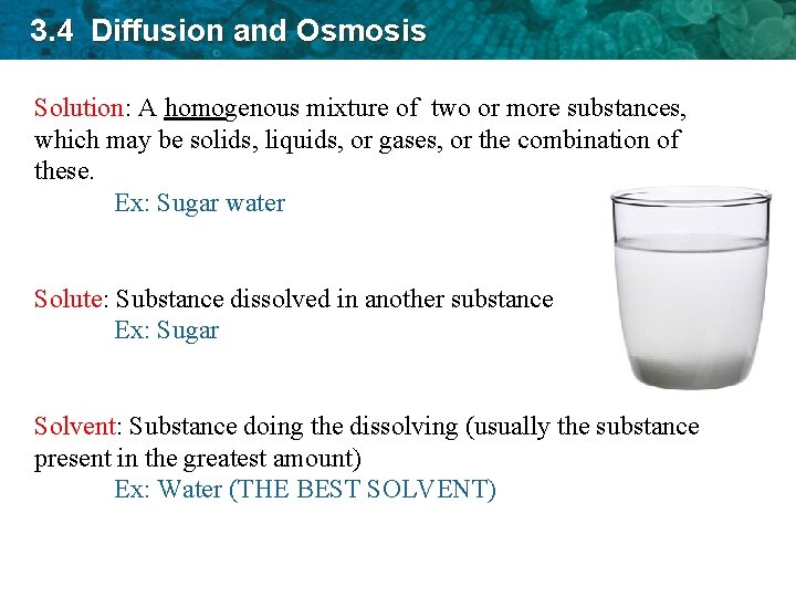 3. 4 Diffusion and Osmosis Solution: A homogenous mixture of two or more substances,