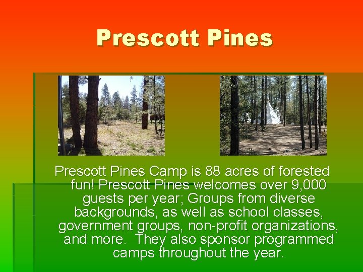 Prescott Pines Camp is 88 acres of forested fun! Prescott Pines welcomes over 9,