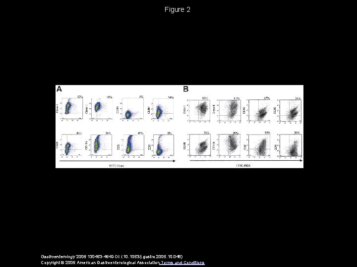 Figure 2 Gastroenterology 2006 130453 -464 DOI: (10. 1053/j. gastro. 2005. 10. 048) Copyright