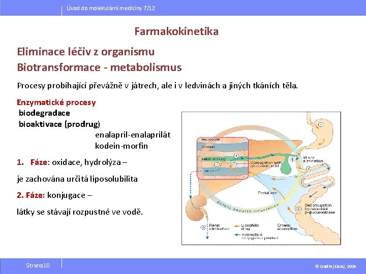 Úvod do molekulární medicíny 7/12 Farmakokinetika Eliminace léčiv z organismu Biotransformace - metabolismus Procesy