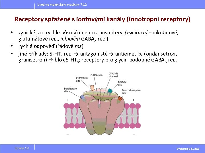 Úvod do molekulární medicíny 7/12 Receptory spřažené s iontovými kanály (ionotropní receptory) • typické