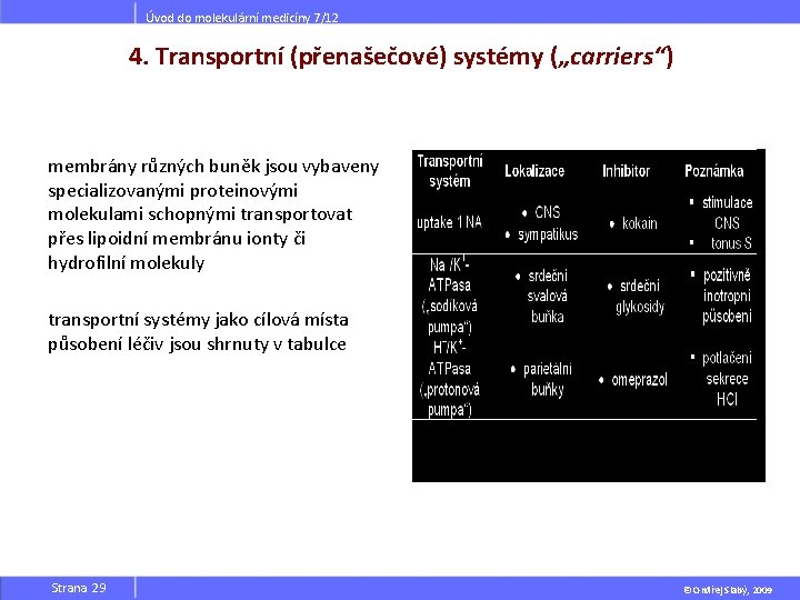 Úvod do molekulární medicíny 7/12 4. Transportní (přenašečové) systémy („carriers“) membrány různých buněk jsou