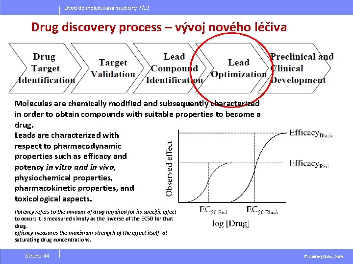 Úvod do molekulární medicíny 7/12 Drug discovery process – vývoj nového léčiva Molecules are