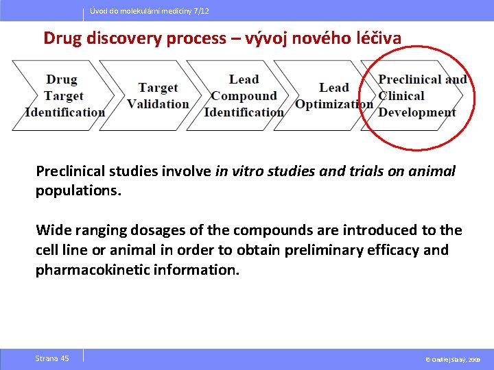 Úvod do molekulární medicíny 7/12 Drug discovery process – vývoj nového léčiva Preclinical studies