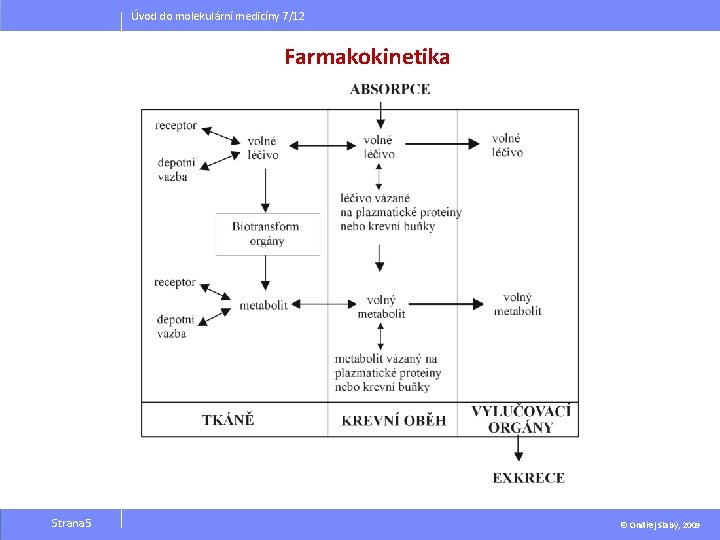 Úvod do molekulární medicíny 7/12 Farmakokinetika Strana 5 © Ondřej Slabý, 2009 