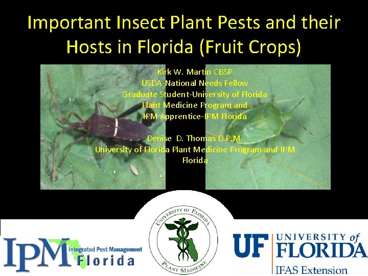 Important Insect Plant Pests and their Hosts in Florida (Fruit Crops) Kirk W. Martin