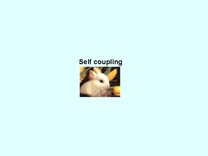 Self coupling 