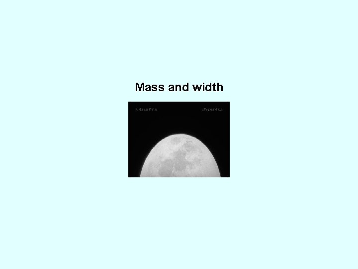 Mass and width 