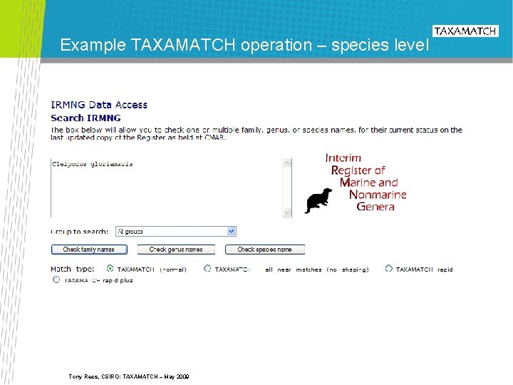 Example TAXAMATCH operation – species level Tony Rees, CSIRO: TAXAMATCH – May 2009 