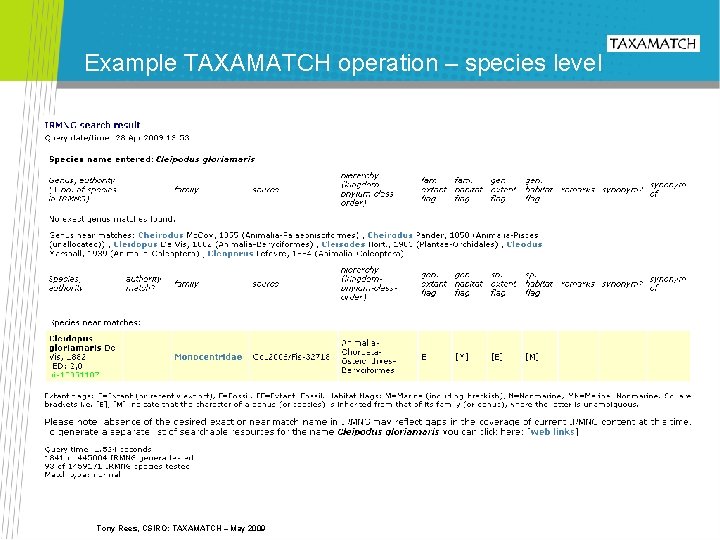 Example TAXAMATCH operation – species level Tony Rees, CSIRO: TAXAMATCH – May 2009 