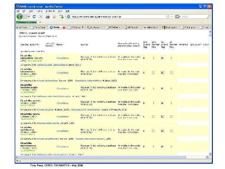 Tony Rees, CSIRO: TAXAMATCH – May 2009 