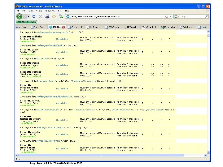 Tony Rees, CSIRO: TAXAMATCH – May 2009 