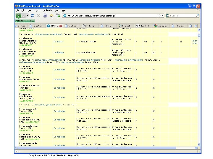 Tony Rees, CSIRO: TAXAMATCH – May 2009 