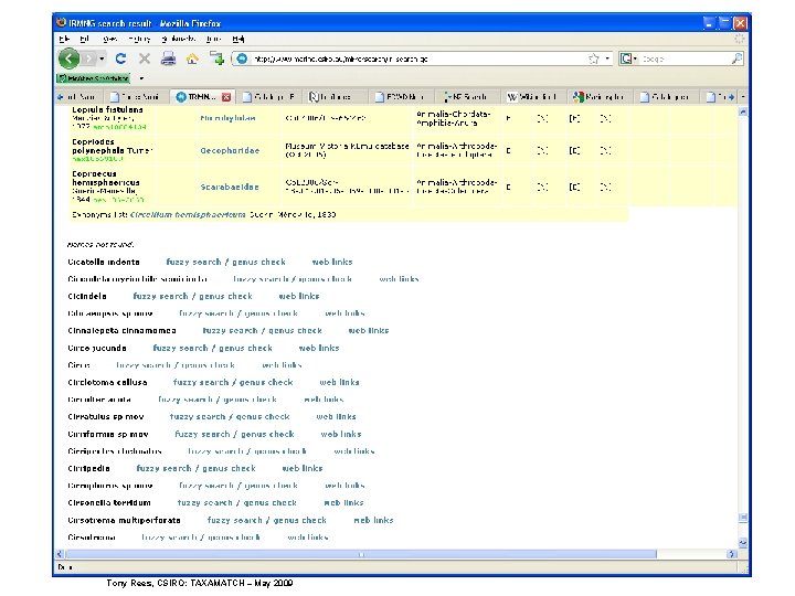 Tony Rees, CSIRO: TAXAMATCH – May 2009 