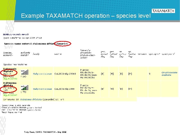 Example TAXAMATCH operation – species level Tony Rees, CSIRO: TAXAMATCH – May 2009 