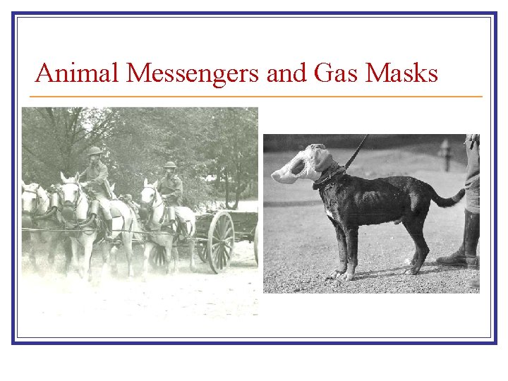 Animal Messengers and Gas Masks 