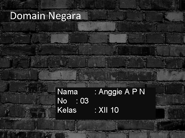 Domain Negara Nama : Anggie A P N No : 03 Kelas : XII