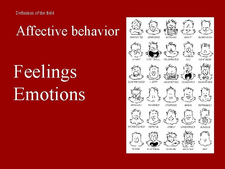 Definition of the field Affective behavior Feelings Emotions 