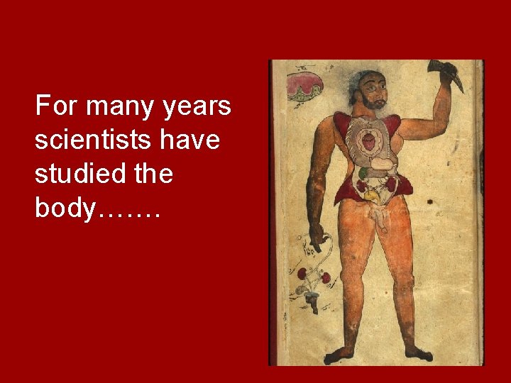 For many years scientists have studied the body……. 