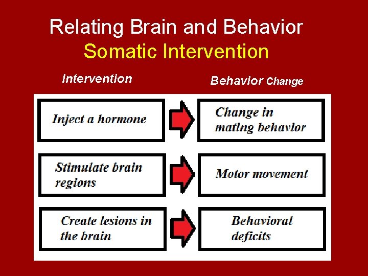 Relating Brain and Behavior Somatic Intervention Behavior Change 