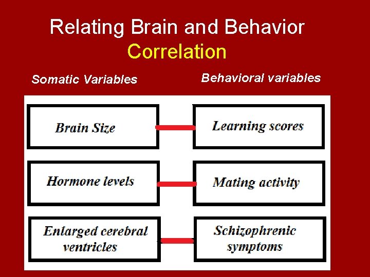 Relating Brain and Behavior Correlation Somatic Variables Behavioral variables 