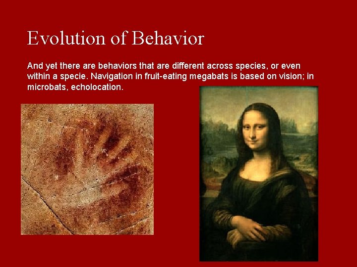 Evolution of Behavior And yet there are behaviors that are different across species, or