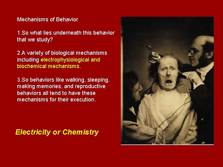 Mechanisms of Behavior 1. So what lies underneath this behavior that we study? 2.