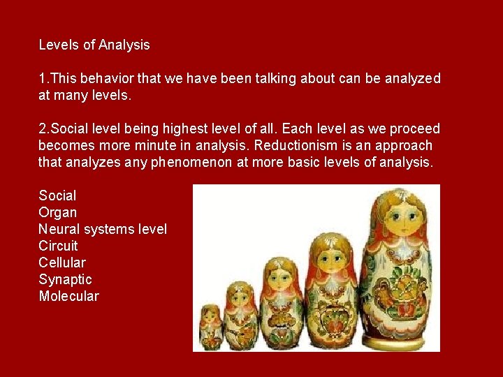 Levels of Analysis 1. This behavior that we have been talking about can be