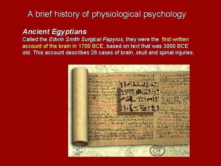 A brief history of physiological psychology Ancient Egyptians Called the Edwin Smith Surgical Papyrus,