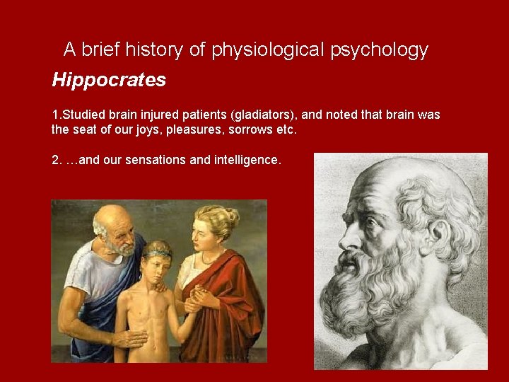 A brief history of physiological psychology Hippocrates 1. Studied brain injured patients (gladiators), and